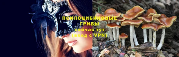 кристаллы Абаза