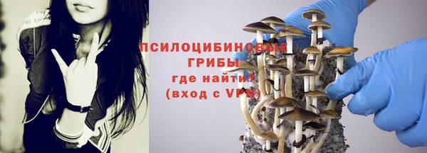 соль ск Абдулино