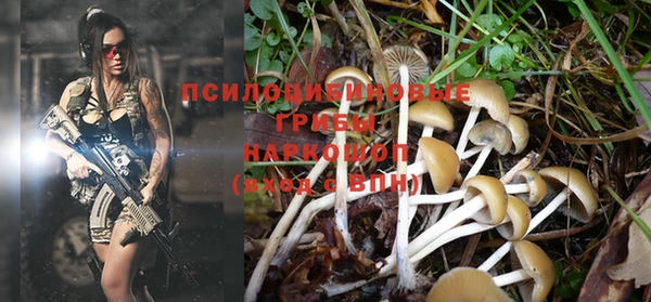 мет Абинск