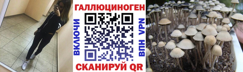 Псилоцибиновые грибы мухоморы  купить наркотик  Углегорск 